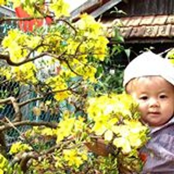 Mai Gia Tuệ