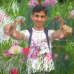 Amirkhansaifi