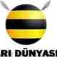 Arı Dünyası