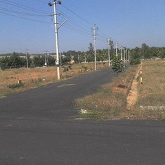 Ashok Reddy