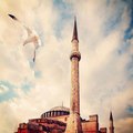 Nasihatler.org