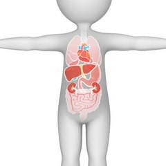 Better Digestion