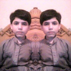 Muhammad Hamza Zarrar