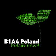 B1a4poland