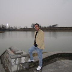 Bolly Videos