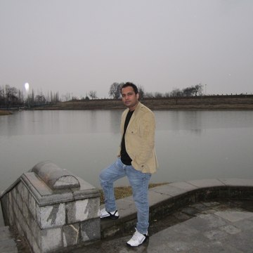 Bolly Videos