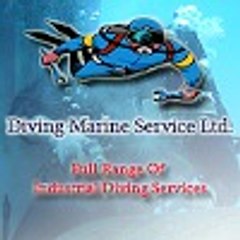 divingms