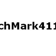 stretchmark411