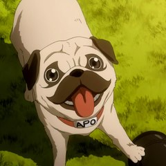 Kyuupo