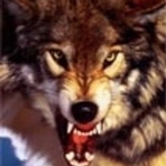 Horst-Dieter Schluck