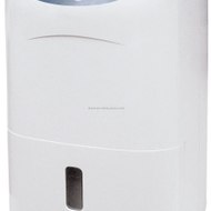 Best Dehumidifiers