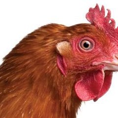 Munich Underground Film Festival