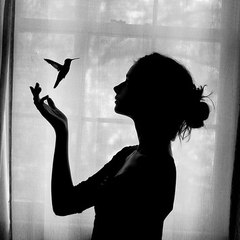 strangebirds