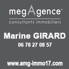 AMG-IMMO17
