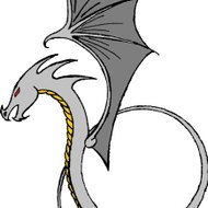 vechtsport-musselkanaal