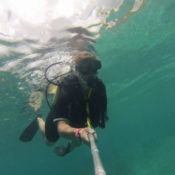 elisabeth mes5continents