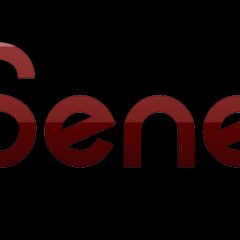 SeneJet Senegal