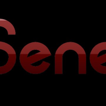 SeneJet Senegal