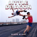 Little dragon