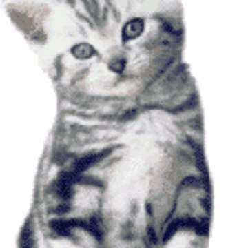 HASSIBE NAFSSAKE