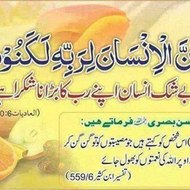 نورQABAR انور