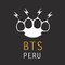 Bts Perú