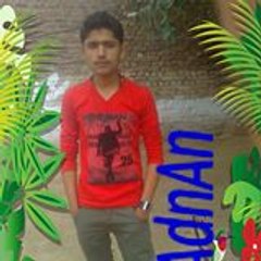 Adnan A N
