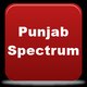 punjabspectrumdotcom1