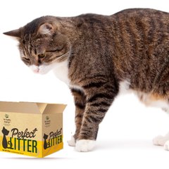 Perfect Litter Cat Litter
