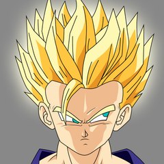 Hassanraza1347