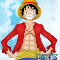 Luffy91
