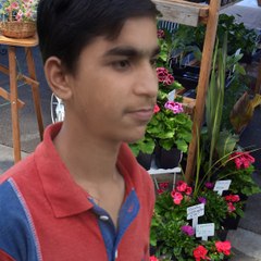 Hammad Asif