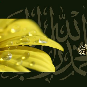 Islamic content