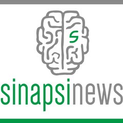 TV channel Sinapsi News