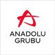 Anadolu Grubu