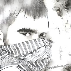 Shani Sheeda