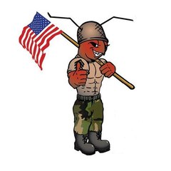 ArmyAntMoving