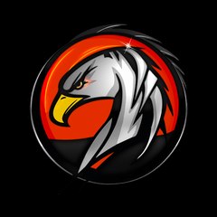 Evolution GamerZ
