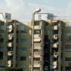 voras