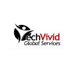 TECHVIVID GLOBAL SERVICES
