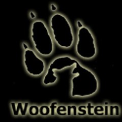 davidwoofenstein