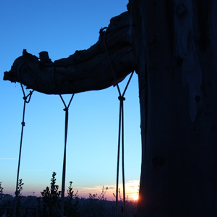 Dailymotion profile picture for @thresholds