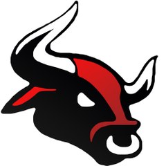 AudioBulls