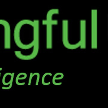 Meaningfuluse11004