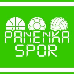 Panenkaspor