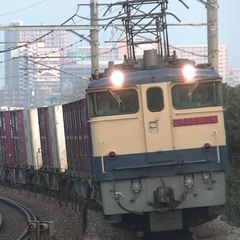 みおよん みおよん