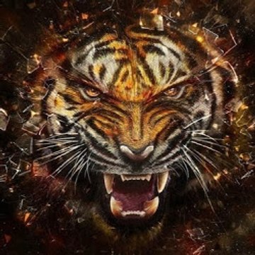 tiger tv