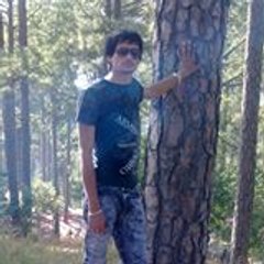 Raju Je 1993