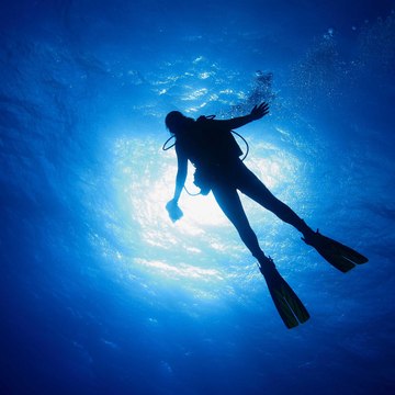 Underwater Universe