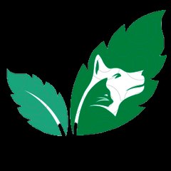 MintTazgi